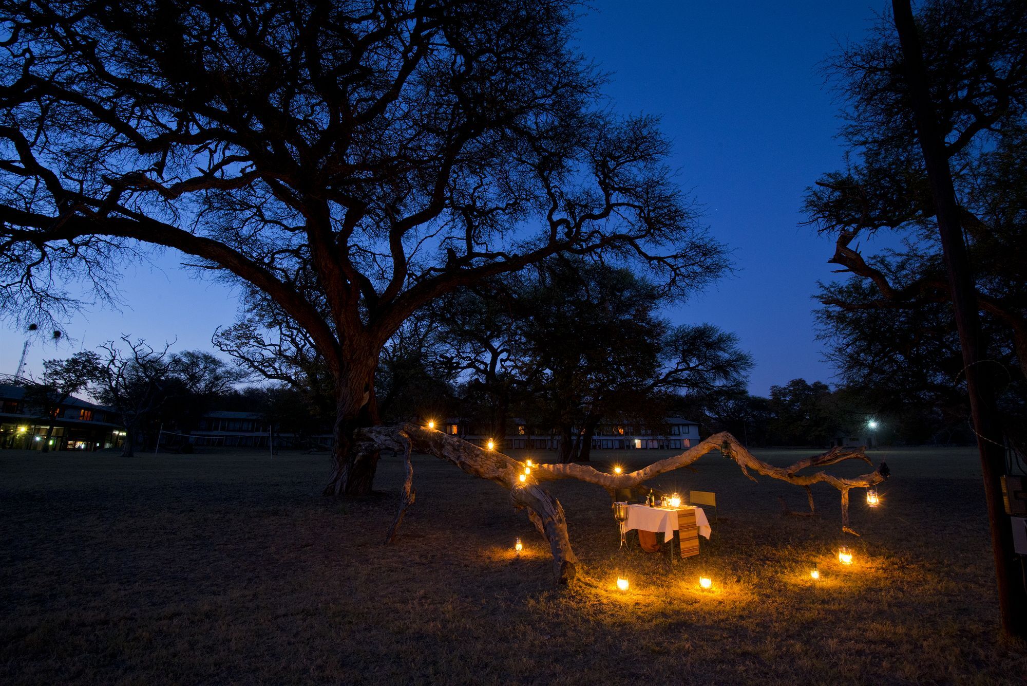 Hwange Safari Lodge Dete Extérieur photo
